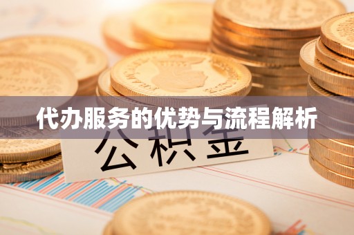 灵寿代办服务的优势与流程解析