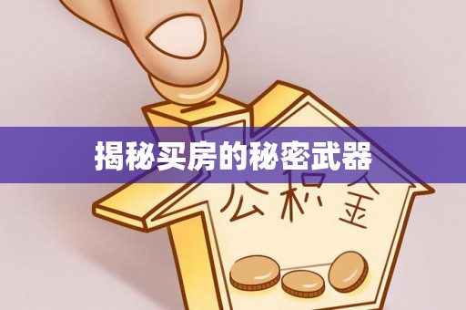 灵寿揭秘买房的秘密武器