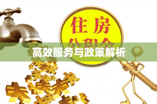 灵寿高效服务与政策解析